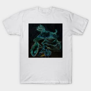 Nudibranch Sketches Hypselodoris Variobranchia 2 T-Shirt